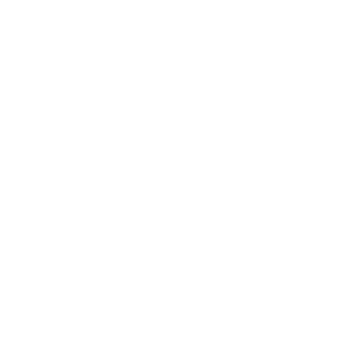 DriveReady